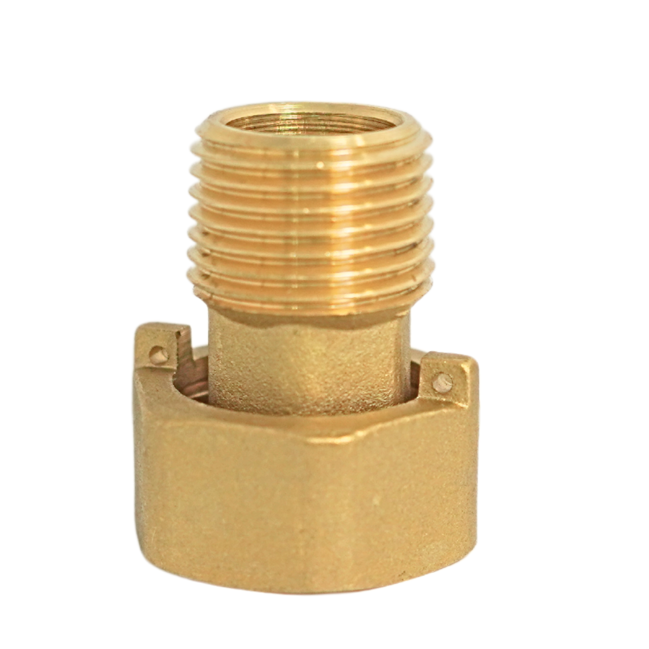 Đuôi đồng hồ và rắc co - Ảnh 2