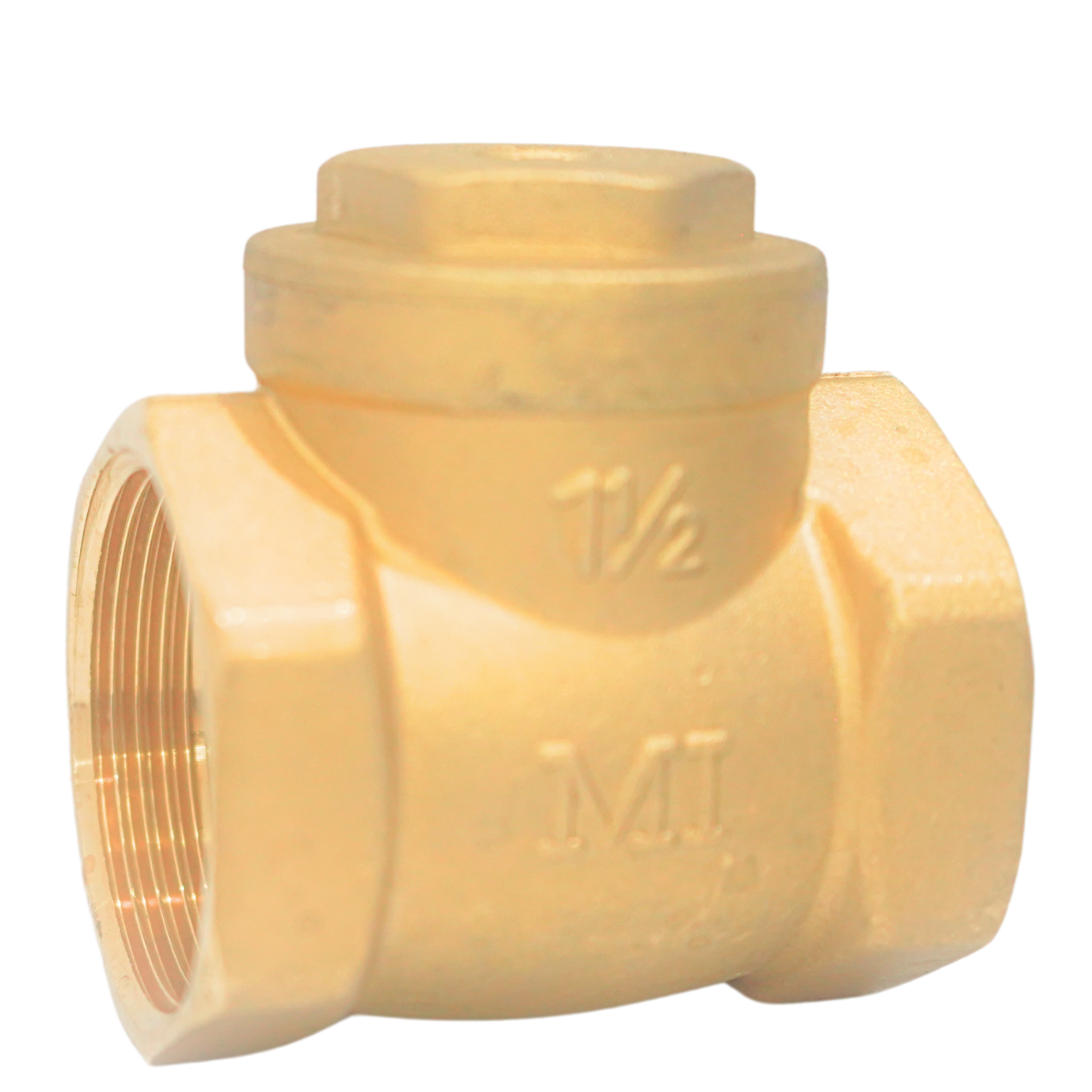 Van một chiều lá đồng MI - Ảnh 3